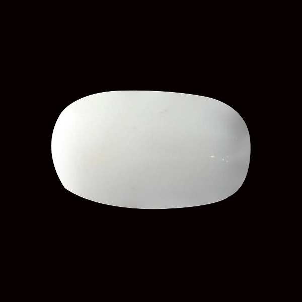 White Coral - 3.79 carats